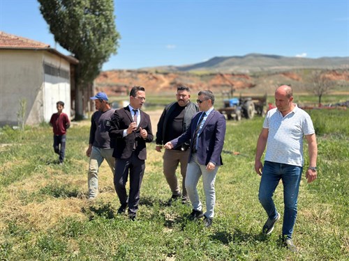 Kaymakam Bilici’den Tarım Arazilerine İnceleme